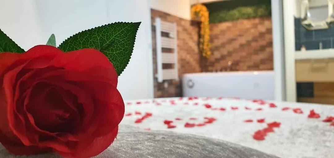 Love Rooms De La Presqu'Ile Saint-Vincent-de-Paul  Ngoại thất bức ảnh